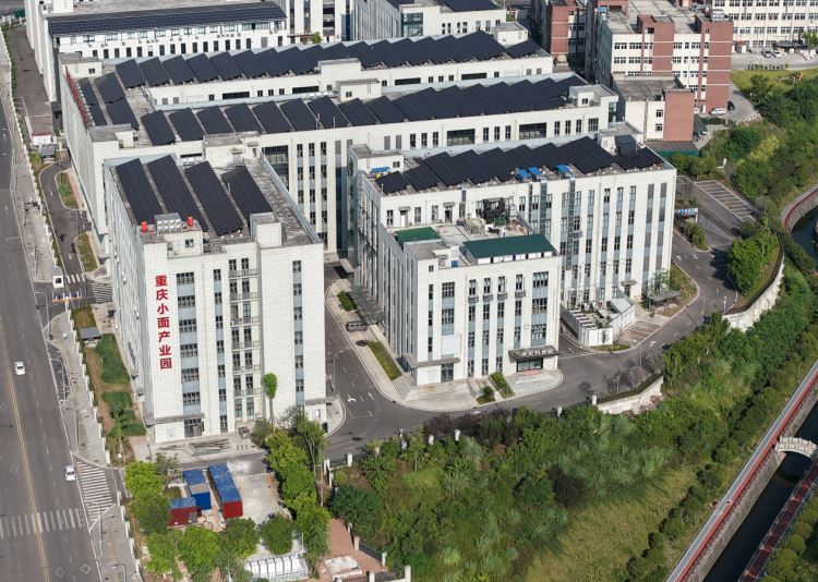 1758524087-446ded84c6ad9a6 1758524087-446ded84c6ad9a6