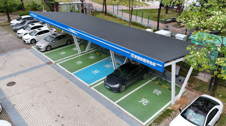 1758524087-e8055026170de7b 1758524087-e8055026170de7b