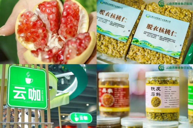 1763106403-987a9df957105e5 1763106403-987a9df957105e5