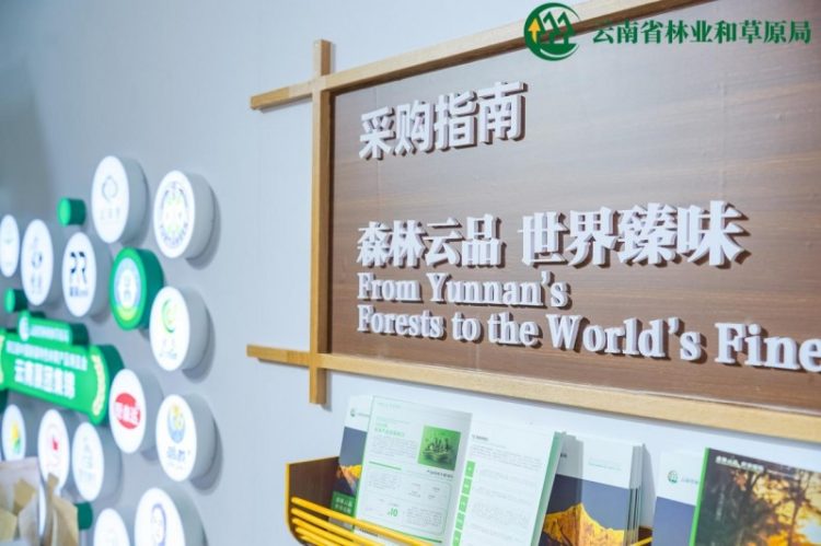 1763106403-c8c003f452a734a 1763106403-c8c003f452a734a