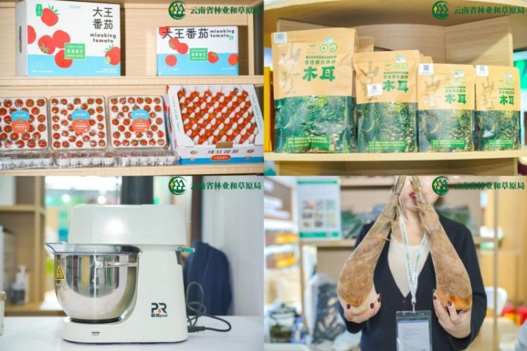 1763106404-08caeea569b81b4 1763106404-08caeea569b81b4