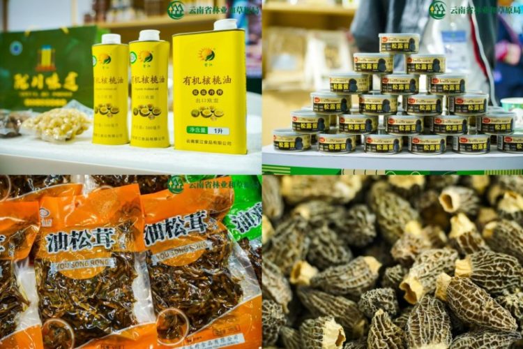 1763106404-6735e75eec6af7f 1763106404-6735e75eec6af7f