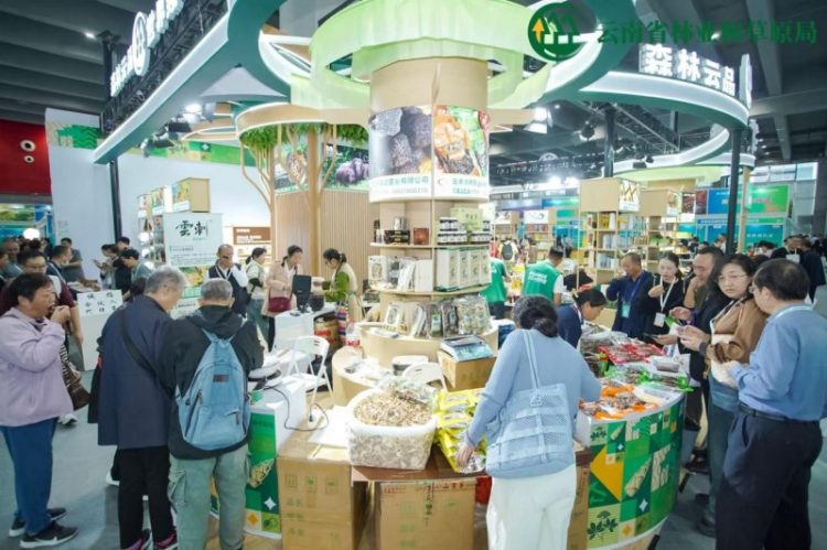 1763106405-b9298b304bccc5d 1763106405-b9298b304bccc5d