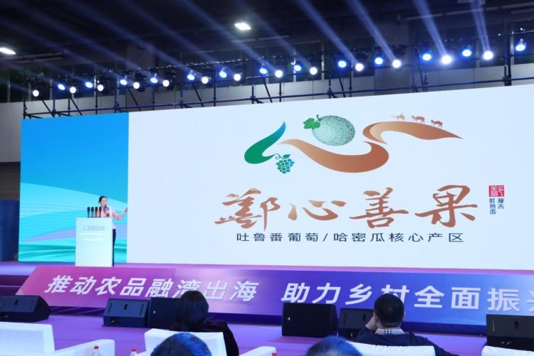 1765779726-943359f44dc87f6 1765779726-943359f44dc87f6