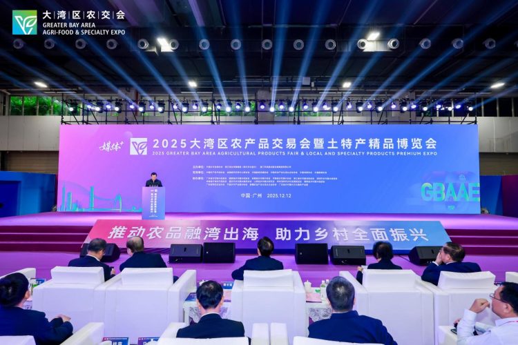 1765779726-b5e7d988cfdb78b 1765779726-b5e7d988cfdb78b