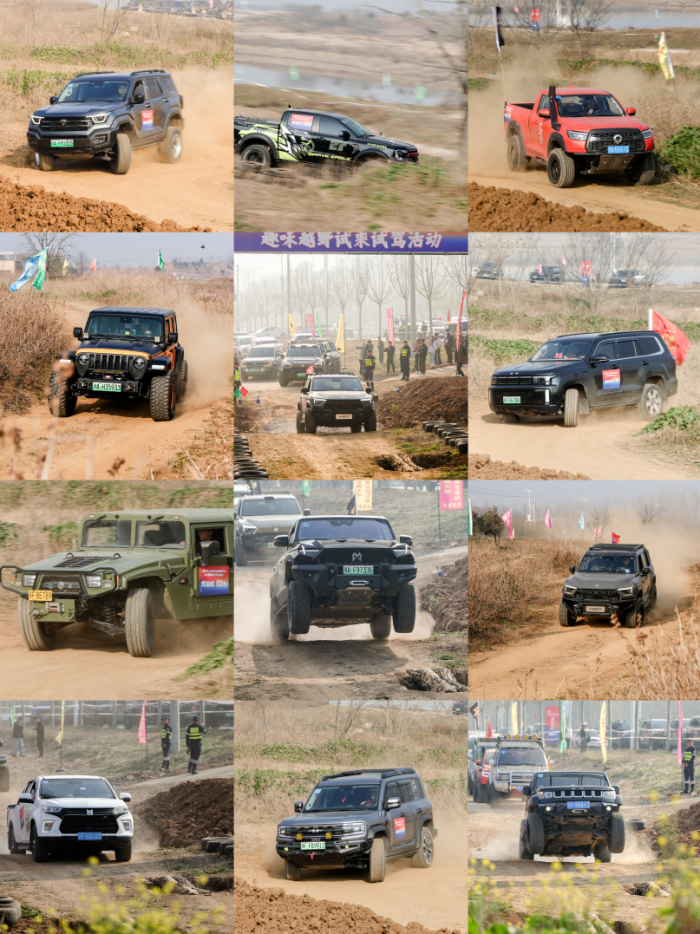 1766249624-a2a3650ea9550d3 1766249624-a2a3650ea9550d3