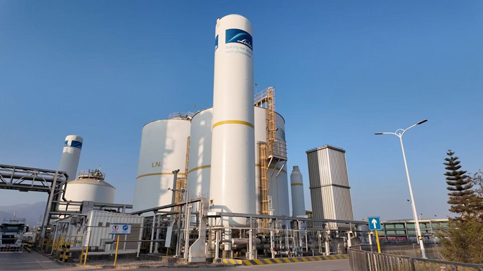 1769398651-252e6e6aab35114 1769398651-252e6e6aab35114